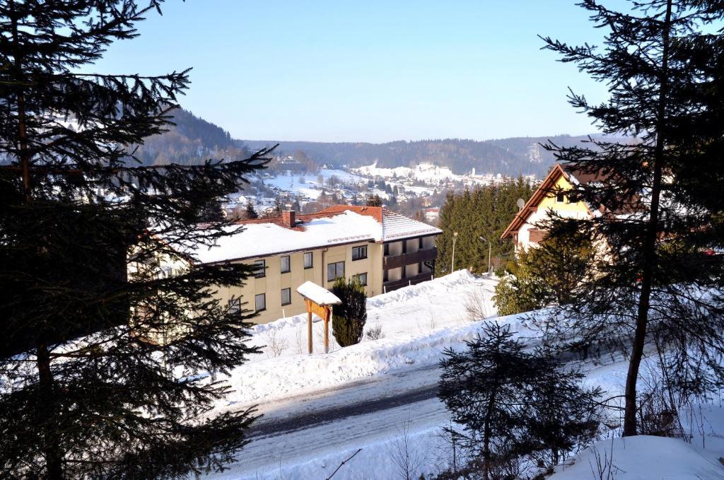 Hotel Pension Waldbaude Warmensteinach Exterior photo